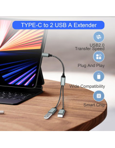 Cable Divisor USB 2.0 HATMINI 2 Puertos 25cm Plata 2