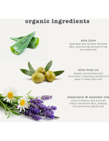 Protector Solar Orgánico para Bebés Erbaviva 75 ml - UVA/UVB, Resistente al Agua