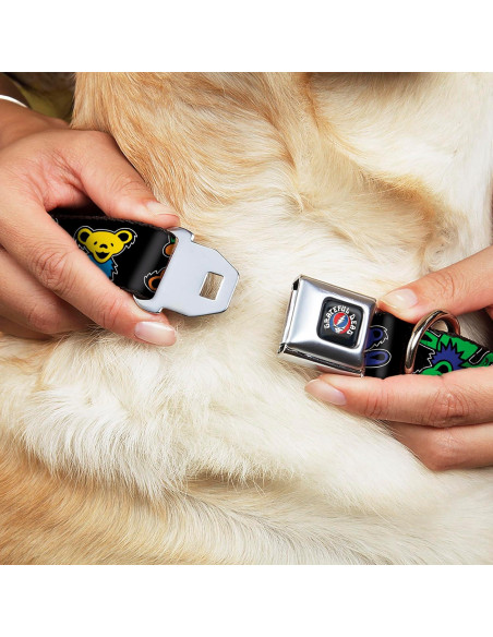 Collar para Perro Grateful Dead - Hebilla de Seguridad - 11-16.5"