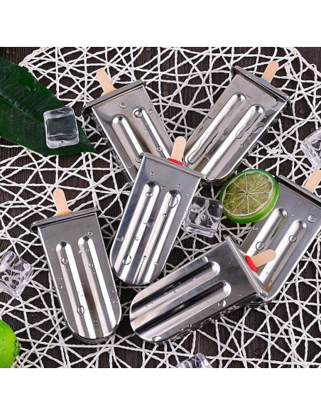 Moldes de Paletas de Acero Inoxidable HAOHIZE 6 Pcs con Soporte