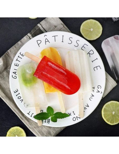 Moldes de Paletas de Acero Inoxidable HAOHIZE 6 Pcs con Soporte