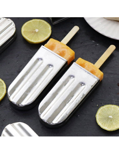 Moldes de Paletas de Acero Inoxidable HAOHIZE 6 Pcs con Soporte