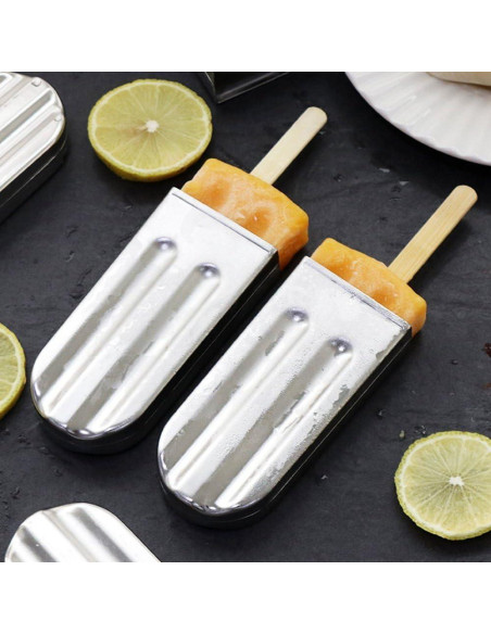 Moldes de Paletas de Acero Inoxidable HAOHIZE 6 Pcs con Soporte