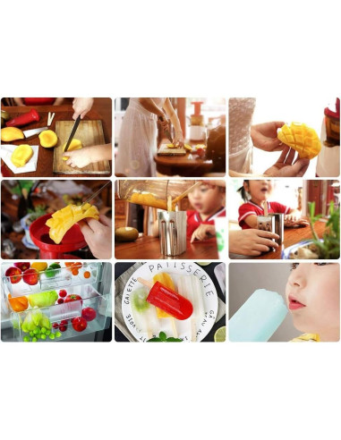 Moldes de Paletas de Acero Inoxidable HAOHIZE 6 Pcs con Soporte