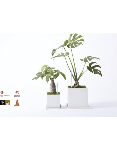 Sustee Aqua Meter - 2 Palos de Reemplazo Grande - Hecho en Japón