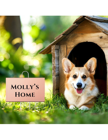 12 Etiquetas de Jardín de Metal Landhoow 10x15 cm Oro Rosa