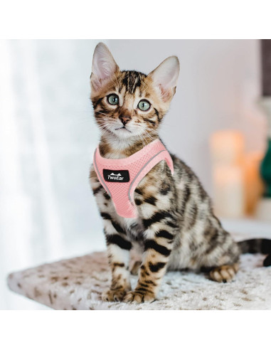 Arnés para Gato TwoEar Ajustable Rosa XXXS Transpirable