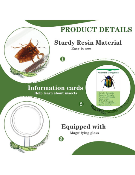 Colección de Insectos en Resina Briwooody con Lupa y Tarjetas