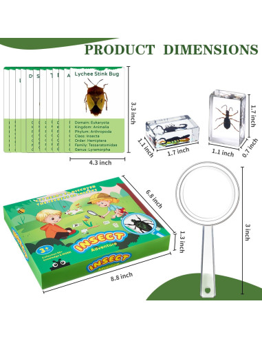 Colección de Insectos en Resina Briwooody con Lupa y Tarjetas