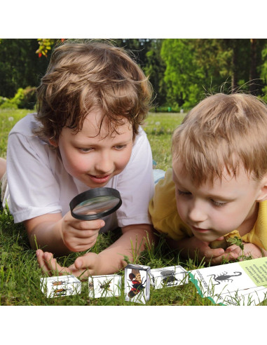 Colección de Insectos en Resina Briwooody con Lupa y Tarjetas