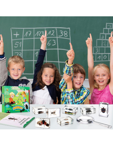 Colección de Insectos en Resina Briwooody con Lupa y Tarjetas