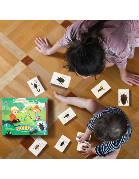 Colección de Insectos en Resina Briwooody con Lupa y Tarjetas