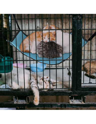 Hamaca Colgante para Gato Oxford Ajustable 25x20cm