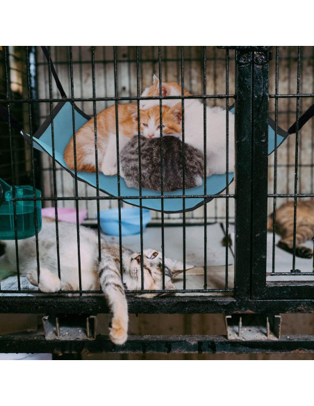 Hamaca Colgante para Gato Oxford Ajustable 25x20cm