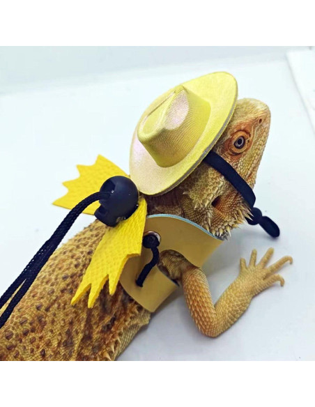 Arnés Ajustable para Dragón Barbudo Copfeu + Sombrero Morado