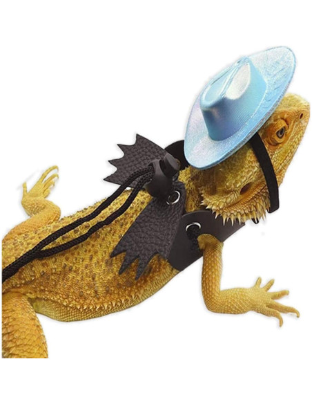 Arnés Ajustable para Dragón Barbudo Copfeu + Sombrero Morado