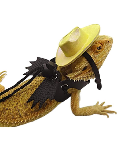 Arnés Ajustable para Dragón Barbudo Copfeu + Sombrero Morado