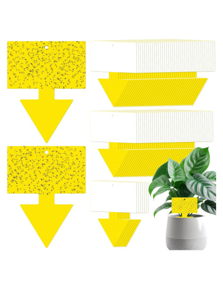 Trampas para Moscas de Fruta Qualirey 100 Pcs Amarillo