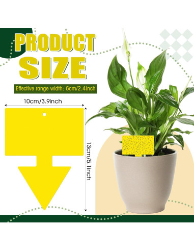 Trampas para Moscas de Fruta Qualirey 100 Pcs Amarillo