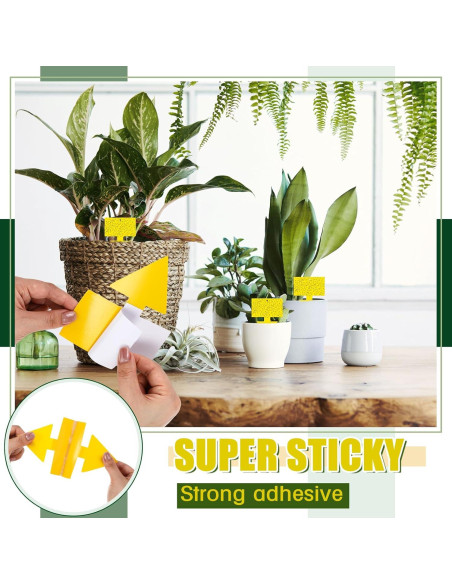 Trampas para Moscas de Fruta Qualirey 100 Pcs Amarillo