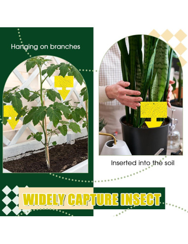 Trampas para Moscas de Fruta Qualirey 100 Pcs Amarillo