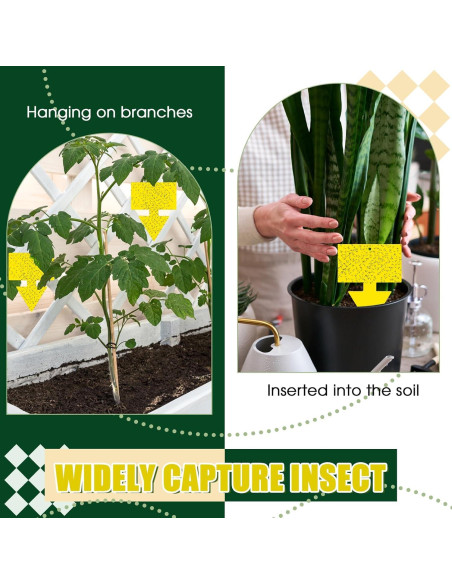 Trampas para Moscas de Fruta Qualirey 100 Pcs Amarillo