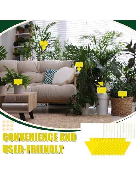 Trampas para Moscas de Fruta Qualirey 100 Pcs Amarillo