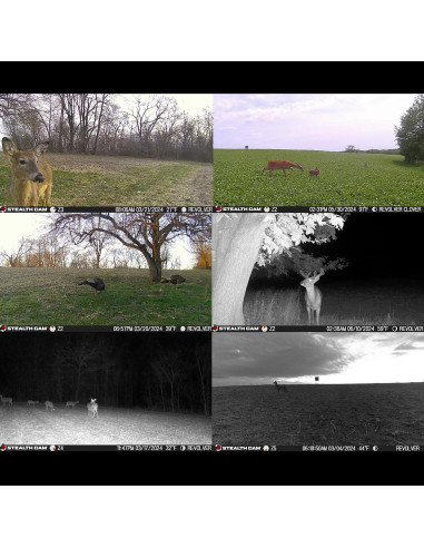 Cámara de Caza Celular Stealth Cam Revolver 36MP 360