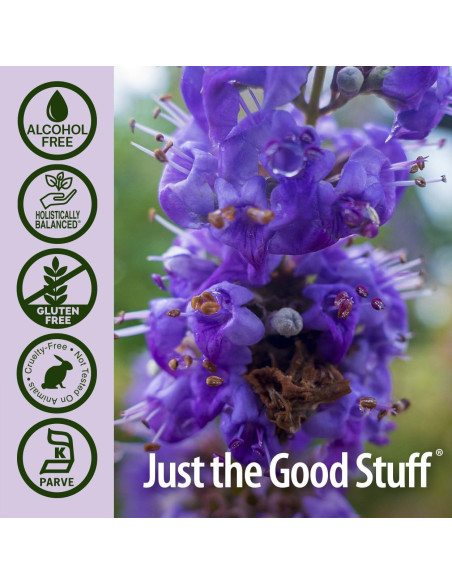 Baya de Vitex Sin Alcohol Nature's Answer 30 ml - Equilibrio Hormonal