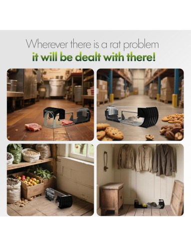 Trampa Humana para Ratones DOPKUSS - Paquete de 2, Reutilizable