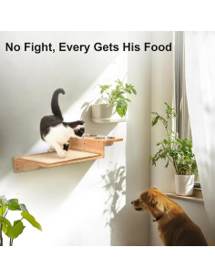 Estantes de Pared para Gatos FUKUMARU 3 en 1 con Comedero 2