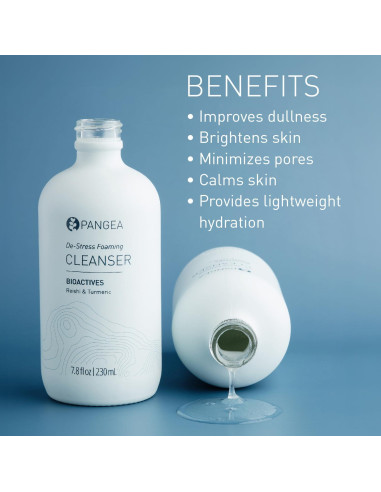 Limpiador Facial Espumoso Pangea Organics 230 ml Vegano