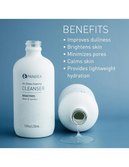 Limpiador Facial Espumoso Pangea Organics 230 ml Vegano