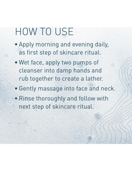 Limpiador Facial Espumoso Pangea Organics 230 ml Vegano