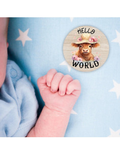 Tarjetas de Hito Mensual de Madera para Bebé - 7 Piezas 2