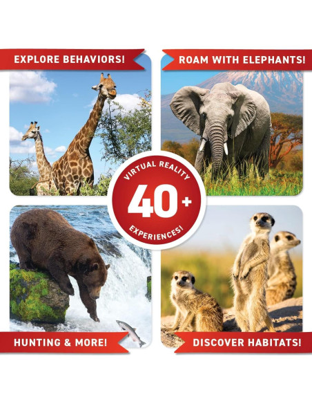 Caja de Regalo VR Animales Abacus 96 Páginas Interactivas