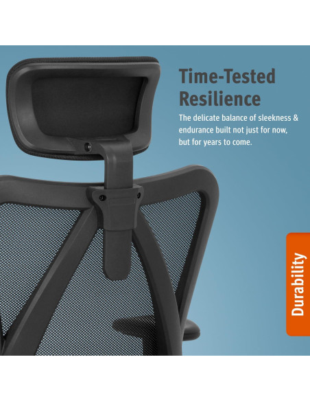 Silla de Oficina Ergonómica Duramont 6 - Ajustable con Soporte Lumbar