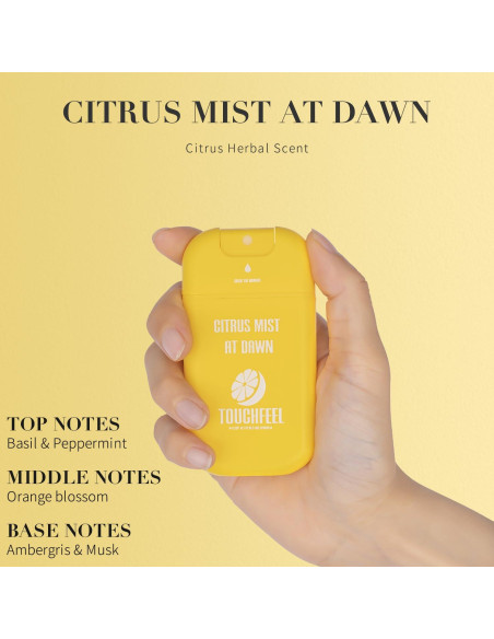 Spray desinfectante para manos Touchfeel 27.6 ml recargable