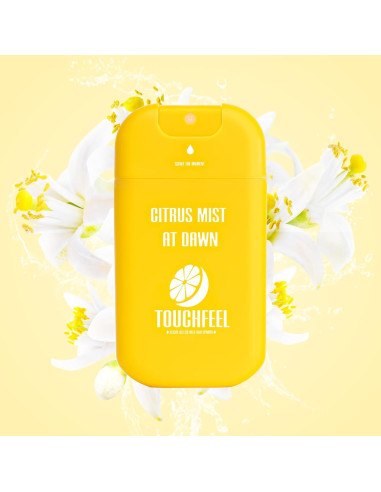 Spray desinfectante para manos Touchfeel 27.6 ml recargable