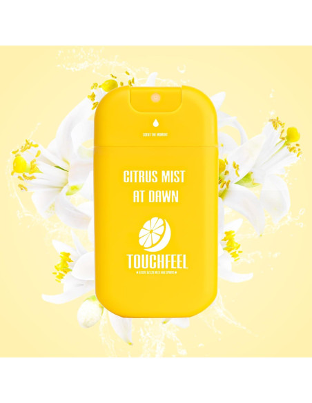 Spray desinfectante para manos Touchfeel 27.6 ml recargable