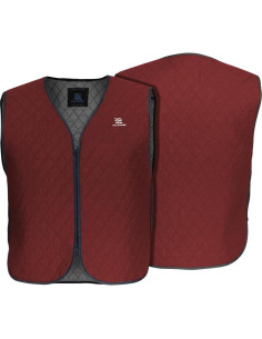 Chaleco Enfriamiento Hidrológico Mujeres Fieldsheer Gris 2