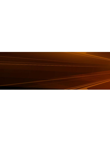 Air Conflicts: Paquete - Kalypso Media - PC - Simulación