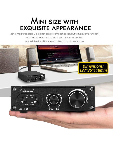 Amplificador Nobsound G2 PRO 300W Mono Hi-Fi Subwoofer