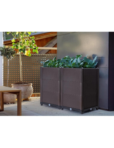 Jardinera Elevada D'vine Dev - Kit de 2 para Cultivar