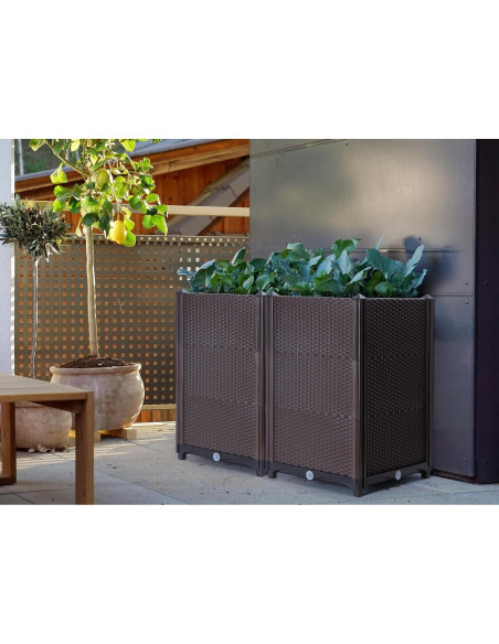 Jardinera Elevada D'vine Dev - Kit de 2 para Cultivar