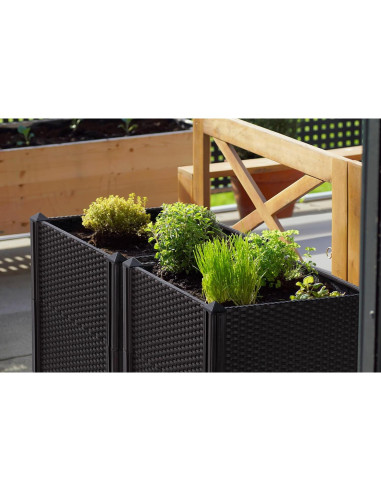 Jardinera Elevada D'vine Dev - Kit de 2 para Cultivar