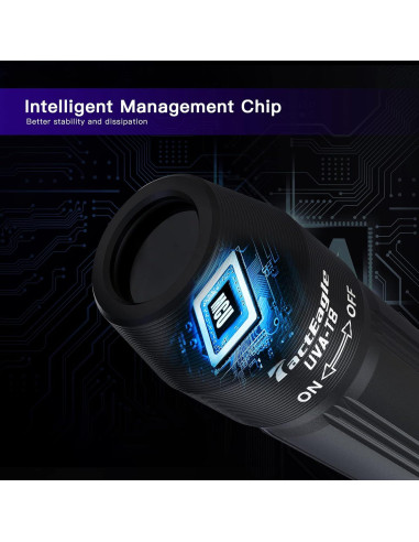 Paquete de 2 Linternas UV Mini UVA-T8 Detección de Manchas