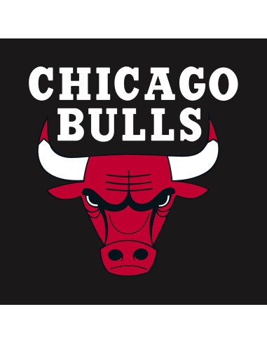 Sudadera Holloway forro polar hombres X-Large Chicago Bulls