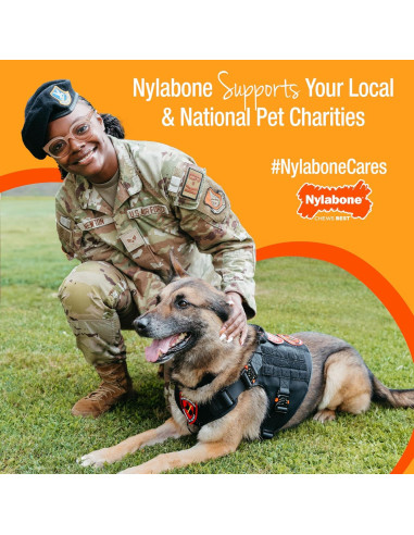 Juguete de Masticar Nylabone para Cachorros Sabor Tocino 15 cm