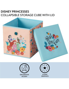 Cubo de Almacenamiento Plegable Idea Nuova Princesa 25,4 cm 2
